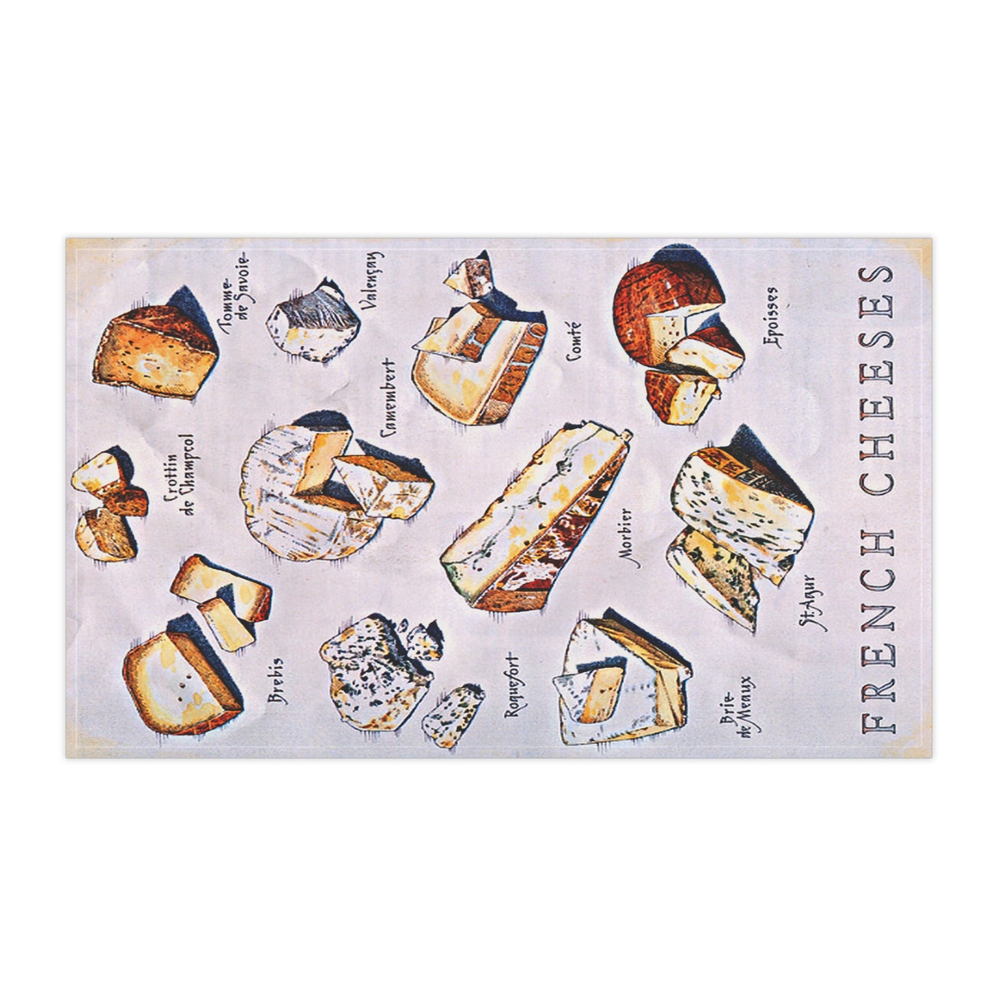 French Cheese Chart Tea Towel - Kitchen Cheese Guide Cotton Blend