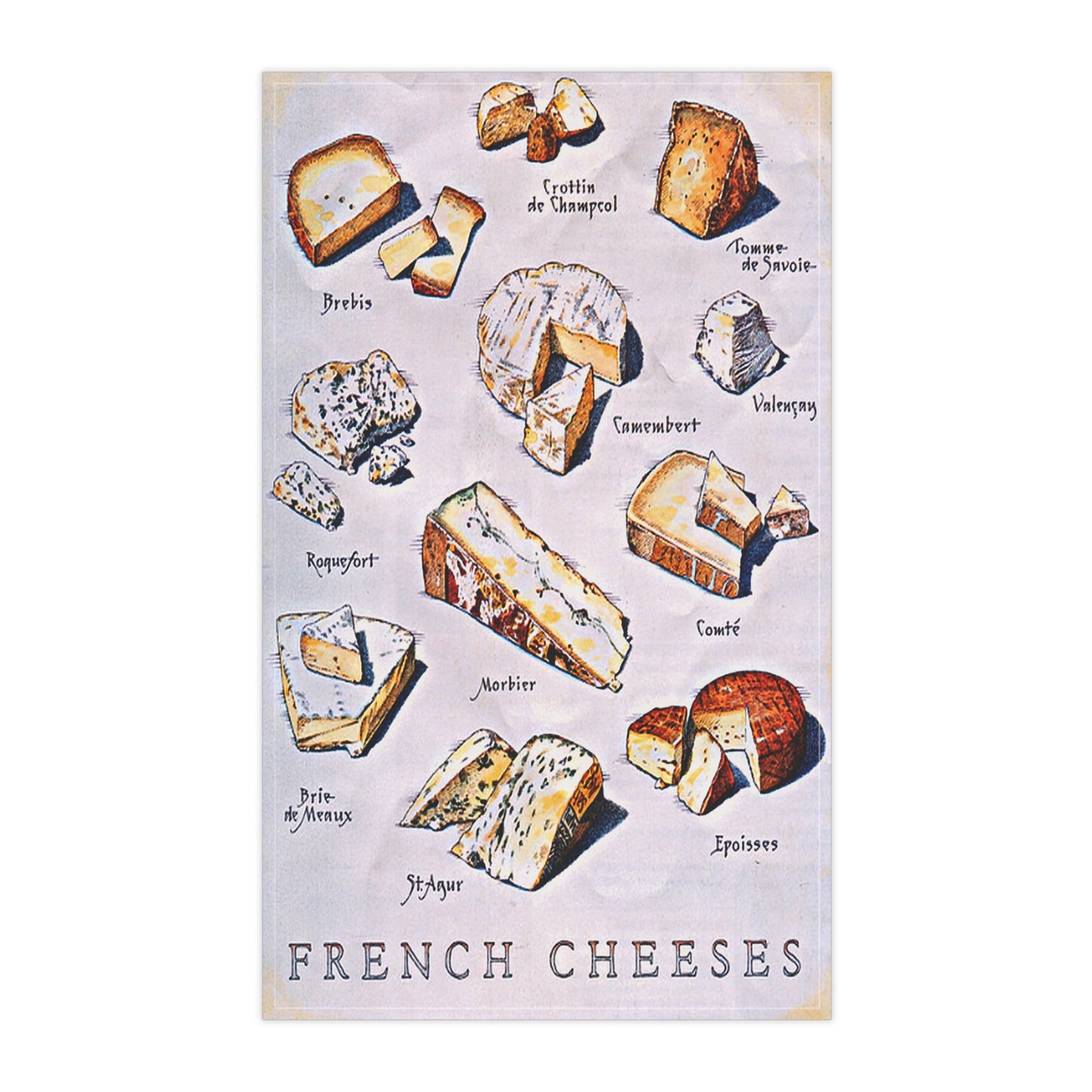French Cheese Chart Tea Towel - Kitchen Cheese Guide Cotton Blend